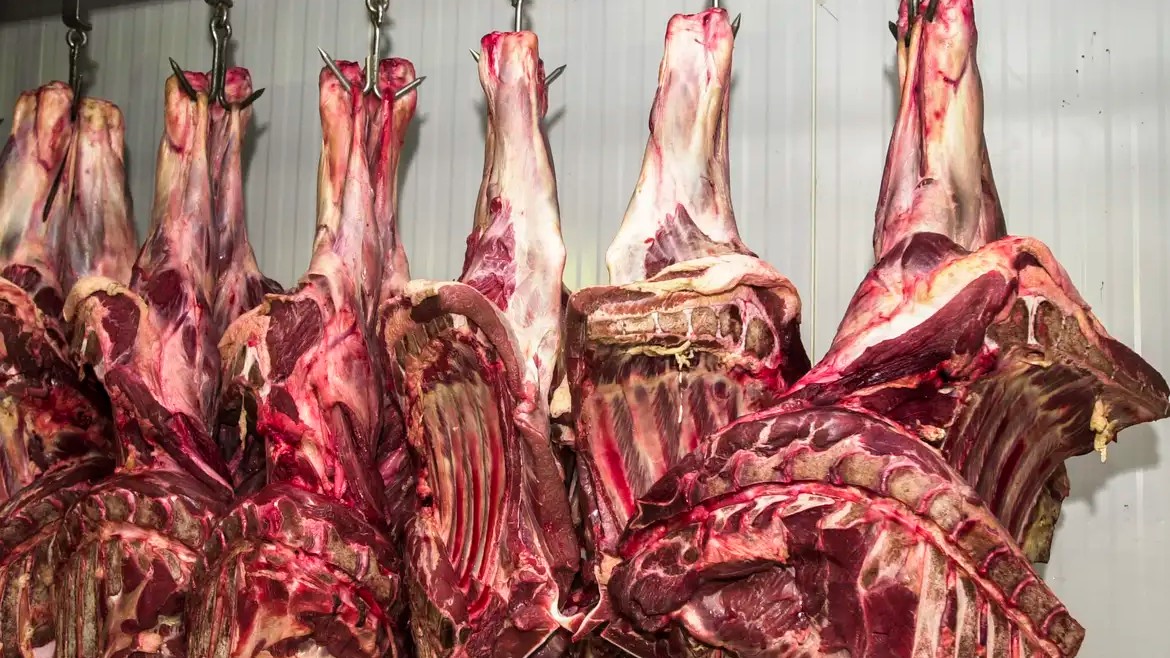 União Europeia suspende importações de carnes do Brasil