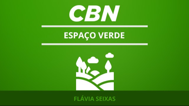 Minhocas no jardim são benéficas?