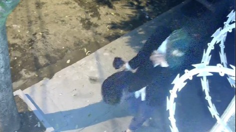 Suspeito de matar e esquartejar mulher fez várias viagens para descartar corpo em lixeiras