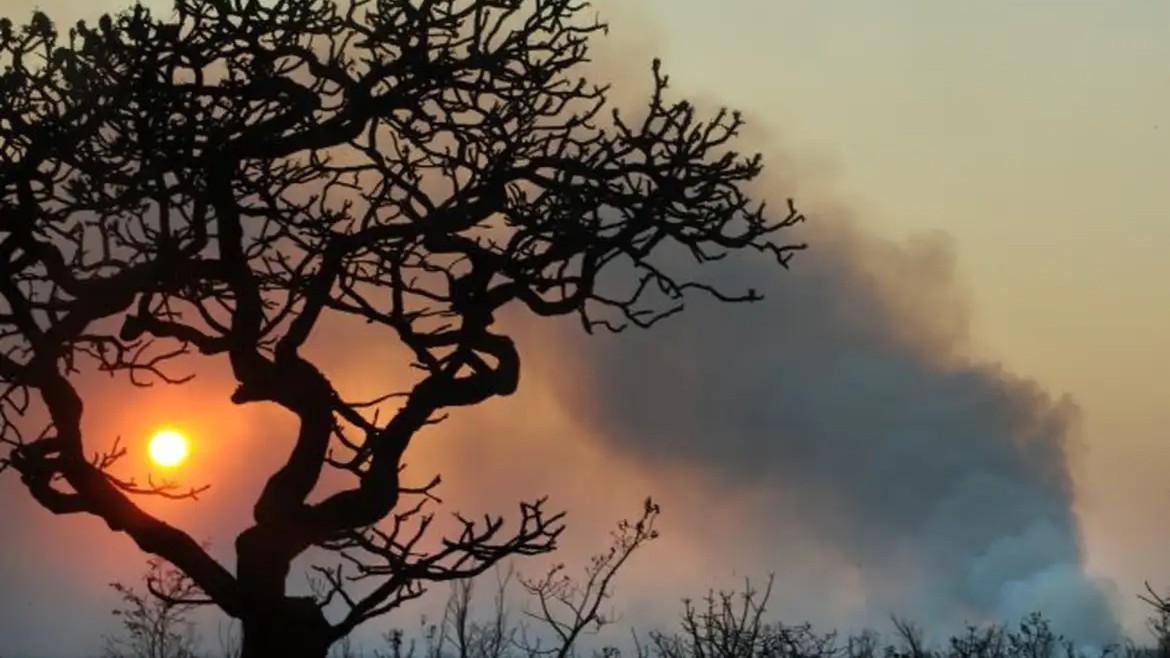 Defesa Civil emite alerta para risco de incêndios na região de Rio Preto