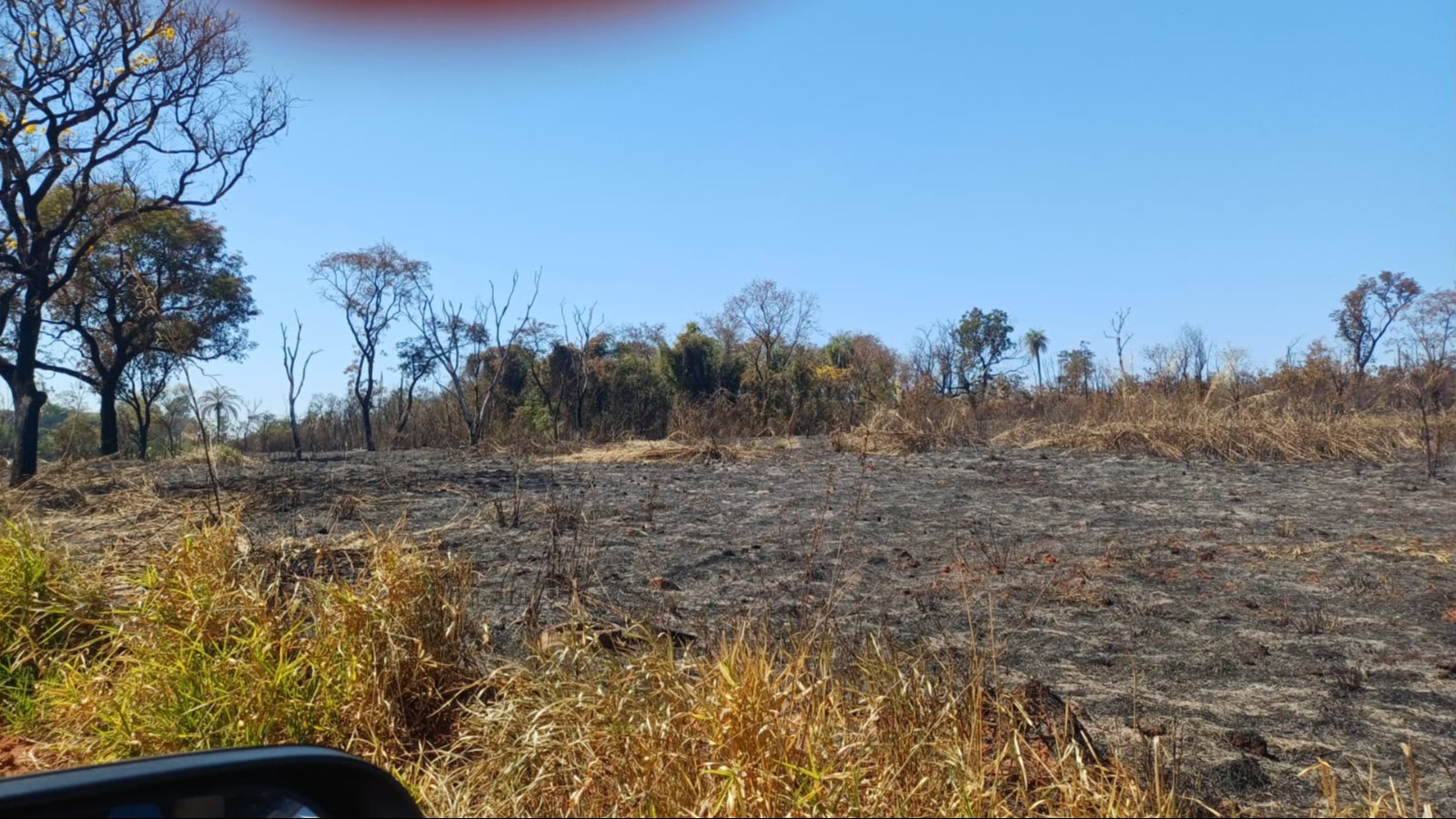 Incêndio próximo à Washington Luís destrói área de 40 mil m² de vegetação em Rio Preto