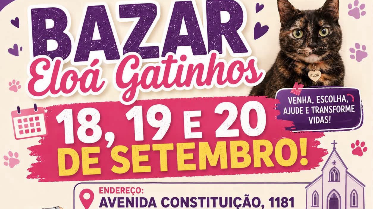Abrigo do Amor promove três dias do Bazar Eloá dos Gatinhos